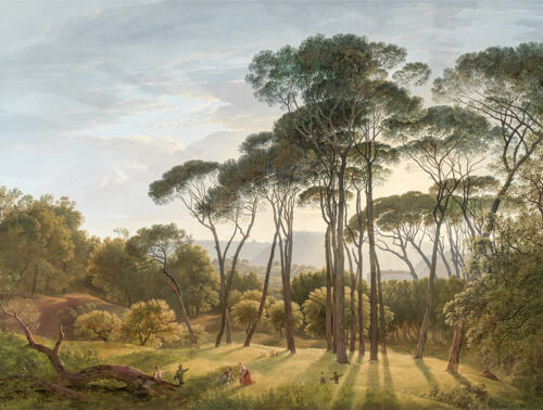 80x60cm_350.jpg